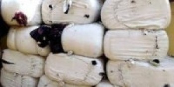 बालबालिकालाई न्यानो कपडा    