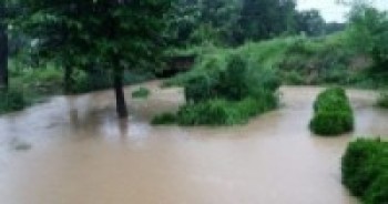 अविरल वर्षाः बाढी र डुबानको जोखिम   