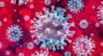 कञ्चनपुरमा एकै दिन कोरोनाबाट १२८ सङ्क्रमित     