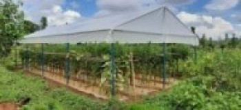 पशुपालन र तरकारी बिक्रीबाट मनग्य आम्दानी