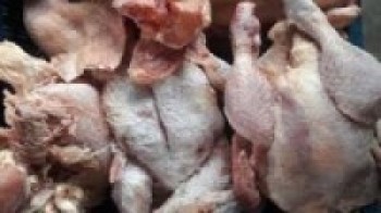 कुखुराको मासु खाँदा एकजनाको मृत्यु, तीन बिरामी