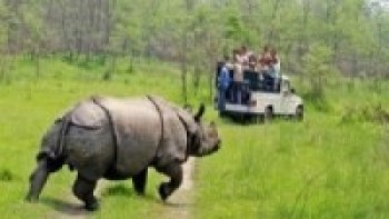 चितवन राष्ट्रिय निकुञ्जमा जङ्गल सफारी बन्द गरिने   