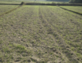 मिटरब्याजीले लिएको सात कठ्ठा बढी जग्गा फिर्ता