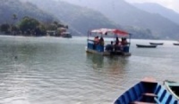 फेवातालबाट जलकुम्भी निकालियो