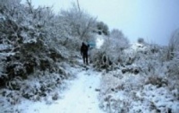 मुस्ताङमा पुनः हिमपात : कृषक खुशी