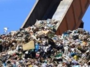 रोकियो फोहर वर्गीकरण   