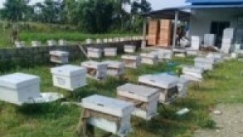 मौरीपालनले दिन्छ राम्रो आम्दानी