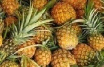 लकडाउनले तीस हजार भुइँकटहर बोटमै कुहिने अवस्थामा