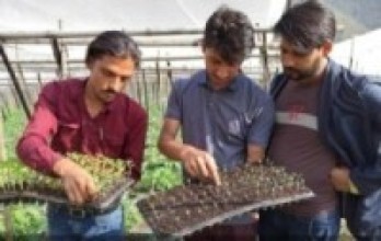 कोरोनालाई शक्तिमा रुपान्तरण गर्न युवालाई कृषिकर्म