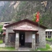मनाङ :लकडाउनका कारण यार्सा टिप्न रोक, राजस्व प्रभावित हुने
