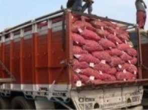 ट्रकसहित २७५ बोरा प्याज नियन्त्रणमा