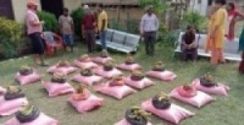 राहत सहयोग