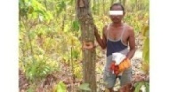 बन्दाबन्दीमा रुख काट्दै गर्दा एकजना पक्राउ