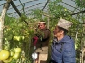 तरकारी किन्न कृषककै बारीमा उपभोक्ता