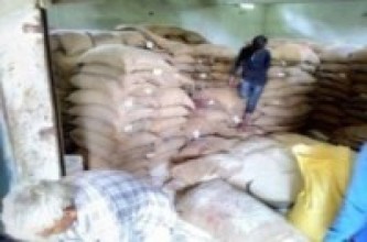 खाद्य कम्पनीबाट तराईमा २० हजार क्विन्टल चामल बिक्री