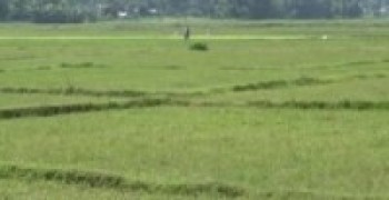 मिटरब्याज पीडितको आठ बिघा जग्गा फिर्ता   