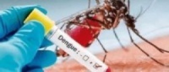 डेङ्गुका सङ्क्रमित बढ्दो