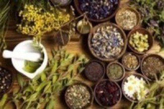 चितवनमा जडीबुटी प्रशोधन उद्योग स्थापना 