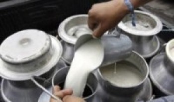 दूधको मूल्य बढाउन किसानको माग  