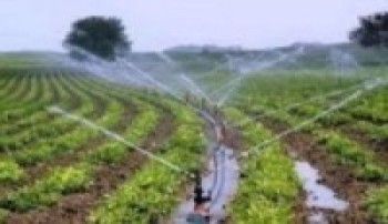 मासिक पाँच लाख कमाउने किसानको सुझाव :  हाम्रै माटोमा केही गरौँ