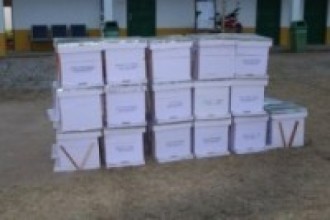 कृषकलाई मौरीसहितको घार