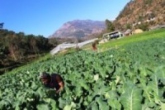 किसानका उत्पादनलाई बजारसम्म लाने वातावरण सिर्जना गर्न आग्रह