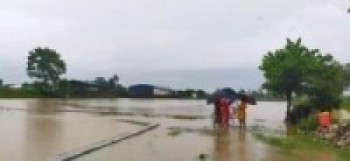 प्रदेश नं २ : लगातारको वर्षाले जताततै जलाम्य, पशुवस्तुको बिजोग