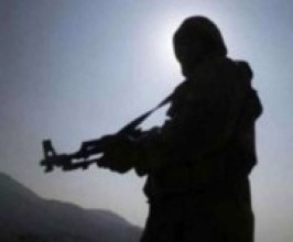 नाइजेरियामा भएको बन्दुक आक्रमणमा २१ को मृत्यु