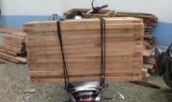 अवैध काठसहित दुई पक्राउ