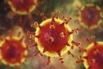 पर्सामा एकैदिन थप १ सय ४२ जनामा कोरोना संक्रमण पुष्टि