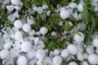 असिनापानीले किसानको बिजोग