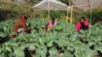 कृषिमा दोब्बर वृद्धि गर्ने खालका कार्यक्रम ल्याउन सुझाव