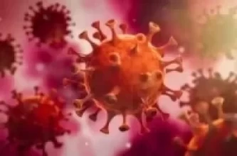 थप २११ मा कोरोना सङ्क्रमण