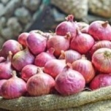 प्याजको कालोबजारी गर्ने तीन व्यापारी पक्राउ, पसल सील