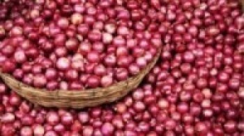 बजार अनुगमनबाट बरामद प्याज खाद्य कम्पनीले बिक्री गर्ने