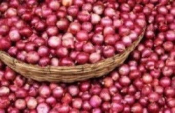 रु ६० मा एककिलो प्याज