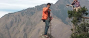 मोबाइलको टावर टिप्न रुख चढ्नुपर्ने !