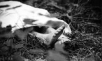 हत्या गरी शव गाडिएका अवस्थामा फेला