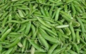 भारी परिमाणमा हरियो केराउ बरामद  