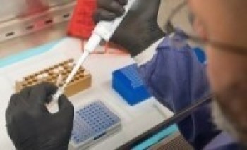 मध्यपुरथिमिका सबै वडामा एन्टिजिन र पिसिआर परीक्षण   