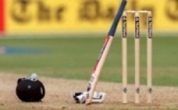 विश्वकप क्रिकेट : नेदरल्यान्ड्ससामु ३२३ रनको लक्ष्य