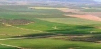 कात्तिकपछि घरजग्गामा लिलामीको बाढी