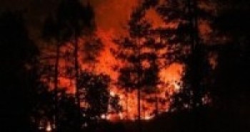 उदयपुरमा आगलागी, पाँच लाखको क्षति