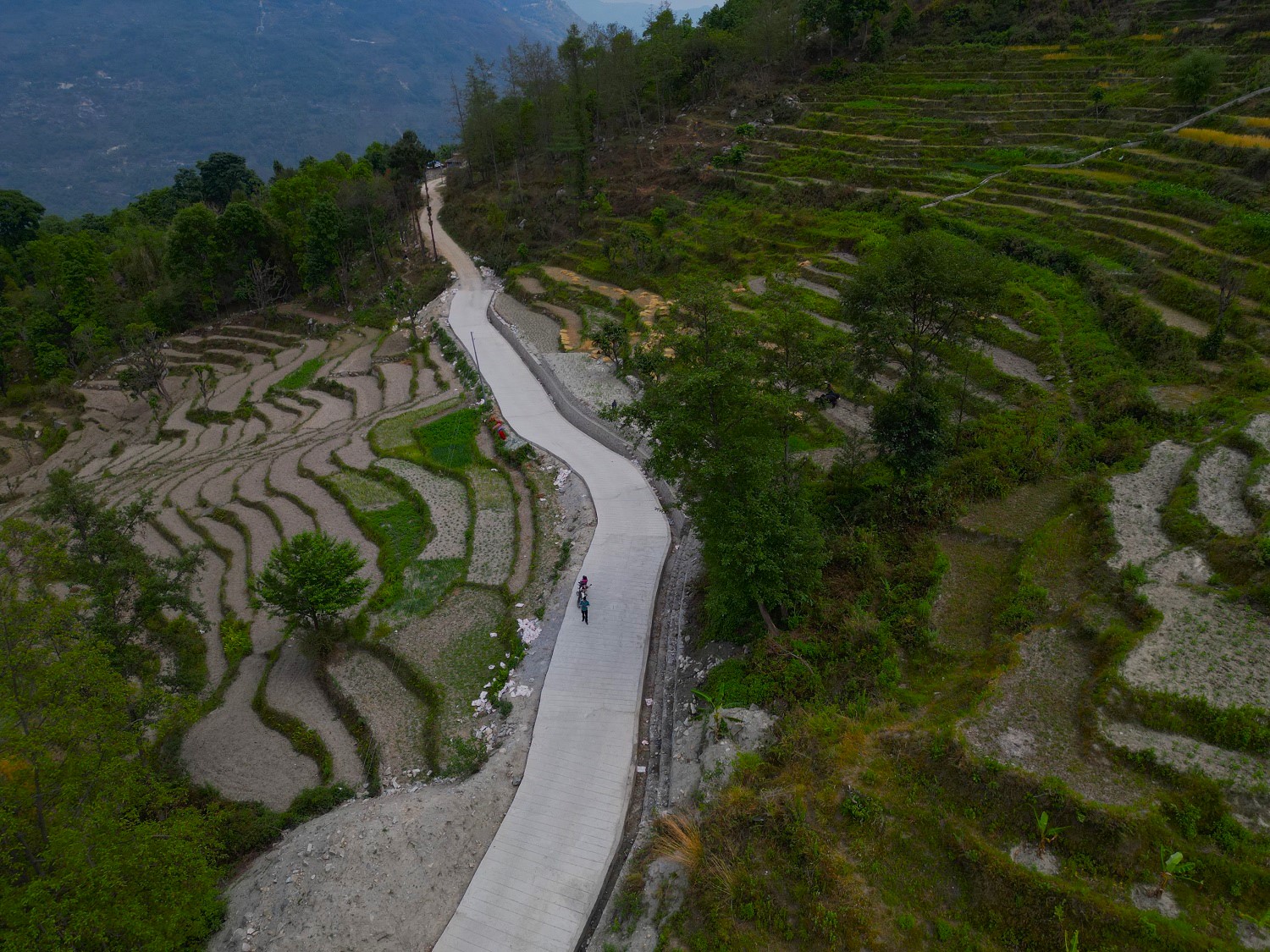 नेप्टेचौर–काउरा–गिठिनी–पात्लेखेत सडक ट्रयाक खुलेको १५ वर्षपछि स्तरोन्नति