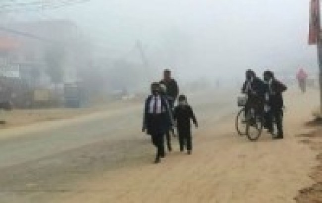 शीतलहरबाट जनजीवन कष्टकर : तरकारीबालीमा डढुवा रोगको जोखिम