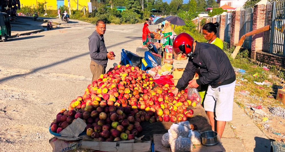 कर्णालीको स्याउ ‘ब्राण्डिङ’ गर्दै प्रेमलाल