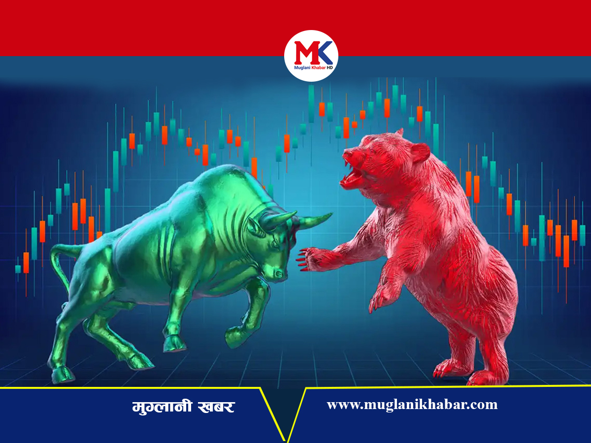 साताको शेयर बजारः कारोबार भएको पाँचै दिन बढ्यो नेप्से