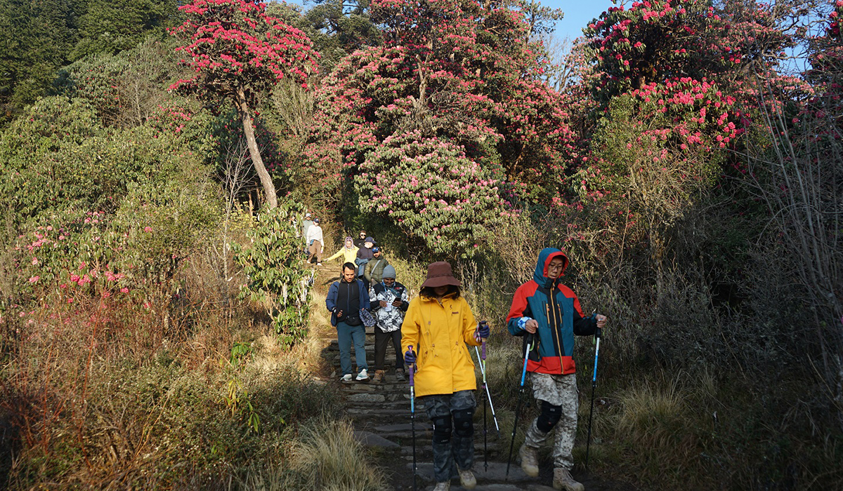 पर्यटकको रोजाइमा घोडेपानी, एक वर्षमा ३१ हजारले गरे भ्रमण