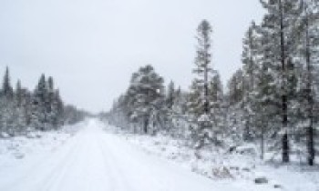 आजको मौसमः हल्का वर्षा र हिमपातको सम्भावना   