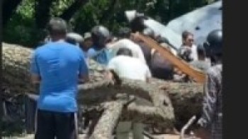 सल्लाघारीमा रुख ढलेर बस र स्कुटर थिच्यो, तीनको मृत्यु, १२ घाइते